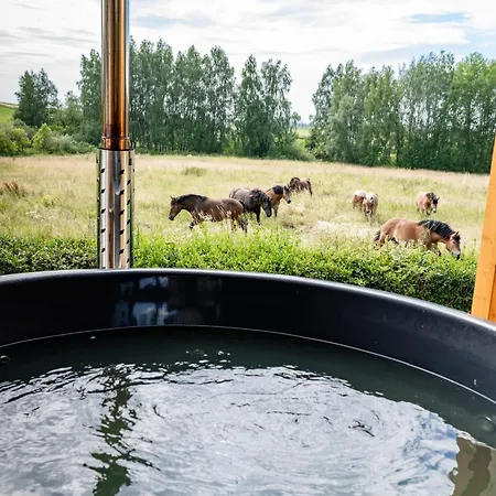 Victoria Z Wiejskim 롯지 기지크코