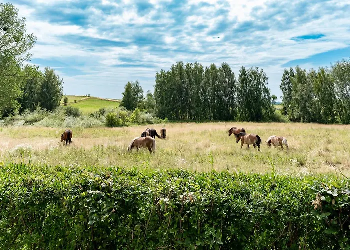 Victoria Z Wiejskim Giżycko